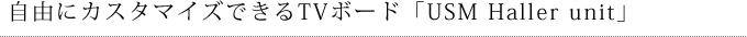 自由にカスタマイズできるTVボード「USM Haller unit」