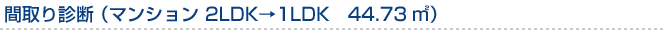 間取り診断 （マンション　2LDK→1LDK　44.73m?）
