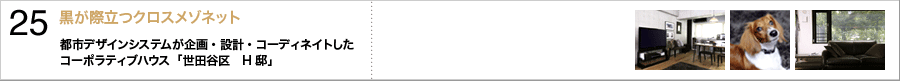 25.黒が際立つクロスメゾネット〜都市デザインシステムが企画・設計・コーディネイトしたコーポラティブハウス「世田谷区　H邸」