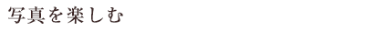 写真を楽しむ