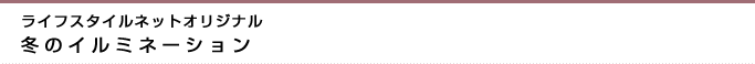 ライフスタイルネットオリジナル　冬のイルミネーション