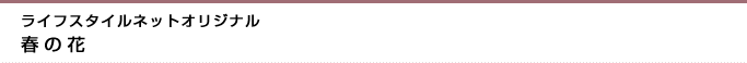 ライフスタイルネットオリジナル　春の花