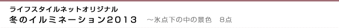 ライフスタイルネットオリジナル　冬のイルミネーション2013　〜氷点下の中の景色　8点